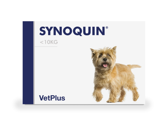 SYNOQUIN SMALL BREED 1x30 tabs